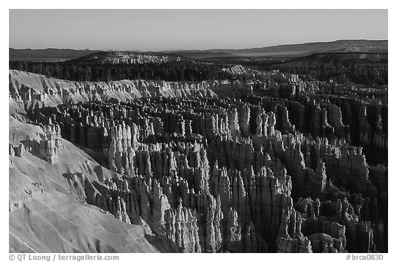 Silent City in Bryce Amphitheater from Bryce Point, sunrise. Bryce Canyon National Park (black and white)