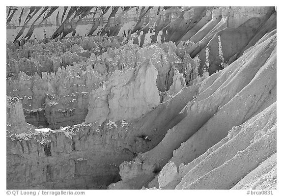 Eroded slopes and Hoodoos from Sunrise Point. Bryce Canyon National Park (black and white)