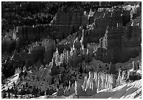 Shadows and lights, Bryce Amphitheater from Sunrise Point, morning. Bryce Canyon National Park ( black and white)