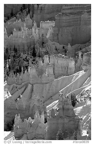 Snowy ridges and hoodoos, Bryce Amphitheater, early morning. Bryce Canyon National Park (black and white)