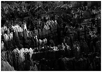 Light and shadows, from Sunset Point, late afternoon. Bryce Canyon National Park ( black and white)