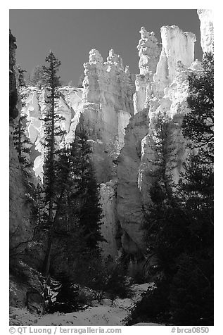 Hoodoos seen from  Queen's garden Trail. Bryce Canyon National Park, Utah, USA.