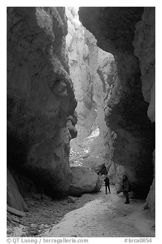 Hikers in Wall Street Gorge. Bryce Canyon National Park (black and white)