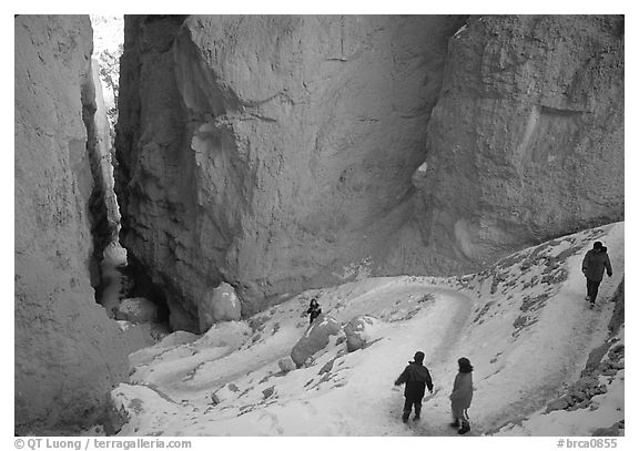 Hikers descending trail in Wall Street Gorge. Bryce Canyon National Park (black and white)