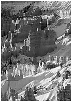 Bryce Amphitheater from Sunrise Point, winter sunrise. Bryce Canyon National Park ( black and white)