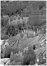 Sandstone rock pillars seen from Sunrise Point in winter, mid-morning. Bryce Canyon National Park ( black and white)