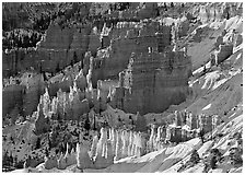 Rock spires and snow  seen from Sunrise Point in winter, early morning. Bryce Canyon National Park ( black and white)