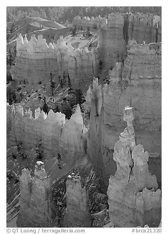Thor's Hammer, mid-morning. Bryce Canyon National Park (black and white)