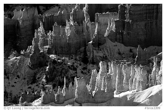Hoodoos and shadows from Sunrise Point, early winter morning. Bryce Canyon National Park (black and white)