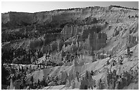 Bryce amphitheater from Sunrise Point, dawn. Bryce Canyon National Park, Utah, USA. (black and white)