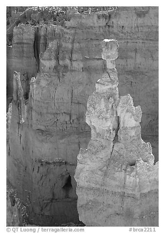 Thor's Hammer. Bryce Canyon National Park (black and white)
