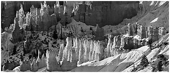 Hoodoos and snowy slopes, early morning. Bryce Canyon National Park (Panoramic black and white)