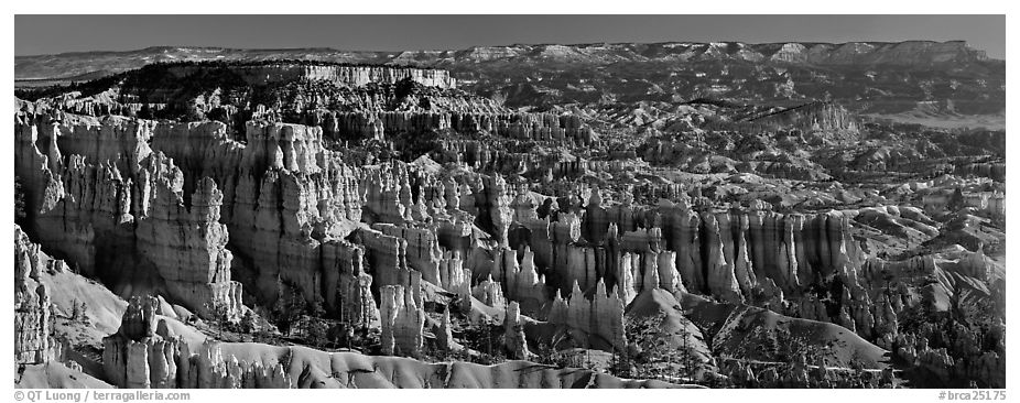 Densely aligned pinnacles in horseshoe-shaped amphitheaters along edge of Pausaugunt Plateau. Bryce Canyon National Park (black and white)