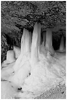 Thick ice stalictites in Mossy Cave. Bryce Canyon National Park ( black and white)