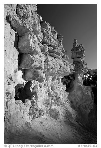 Pink limestone hoodoos, Water Canyon. Bryce Canyon National Park (black and white)