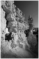 Pink limestone hoodoos, Water Canyon. Bryce Canyon National Park ( black and white)