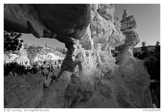 Water Canyon from hoodoo window. Bryce Canyon National Park (black and white)