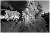 Water Canyon from hoodoo window. Bryce Canyon National Park, Utah, USA. (black and white)