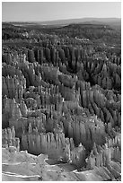 Tightly packed hoodoos from Bryce Point, sunrise. Bryce Canyon National Park ( black and white)