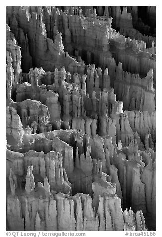 Easily eroded and soft limestone hoodoos. Bryce Canyon National Park (black and white)