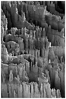 Easily eroded and soft limestone hoodoos. Bryce Canyon National Park ( black and white)