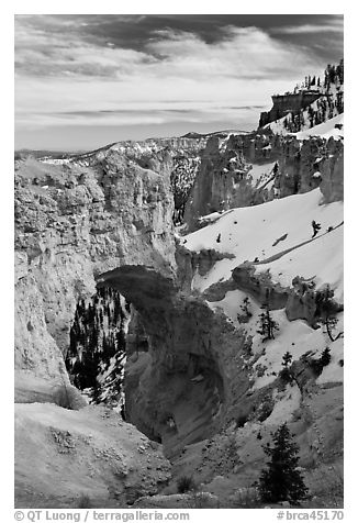Pink limestone arch. Bryce Canyon National Park (black and white)
