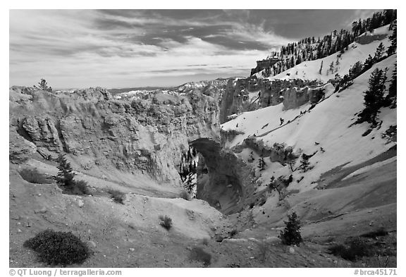 Natural Bridge in winter. Bryce Canyon National Park (black and white)
