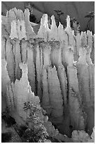 Pink Member of the Claron Formation. Bryce Canyon National Park ( black and white)