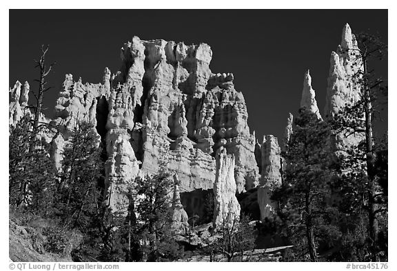 Hoodoos capped with magnesium-rich limestone. Bryce Canyon National Park (black and white)