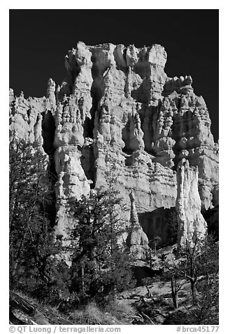 Hoodoos capped with dolomite. Bryce Canyon National Park, Utah, USA.