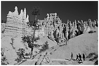 Hiking trail below hoodoos. Bryce Canyon National Park ( black and white)