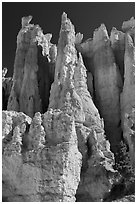 Weathered Claron formation limestone. Bryce Canyon National Park ( black and white)