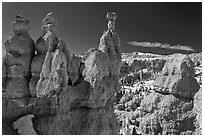 Capped hoodoos and amphitheatre. Bryce Canyon National Park ( black and white)