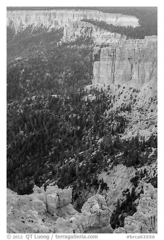 Pink cliffs. Bryce Canyon National Park (black and white)