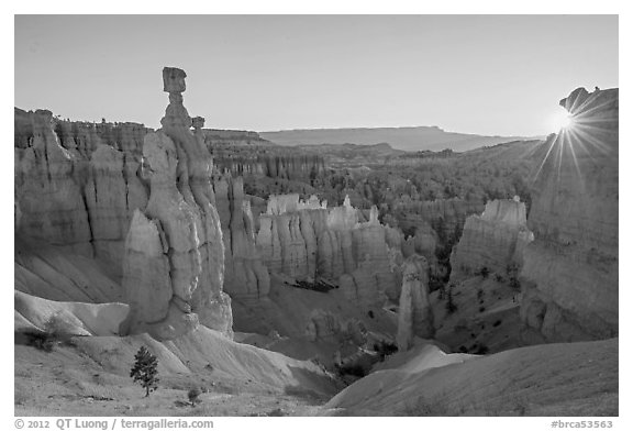 Thor Hammer and rising sun. Bryce Canyon National Park (black and white)
