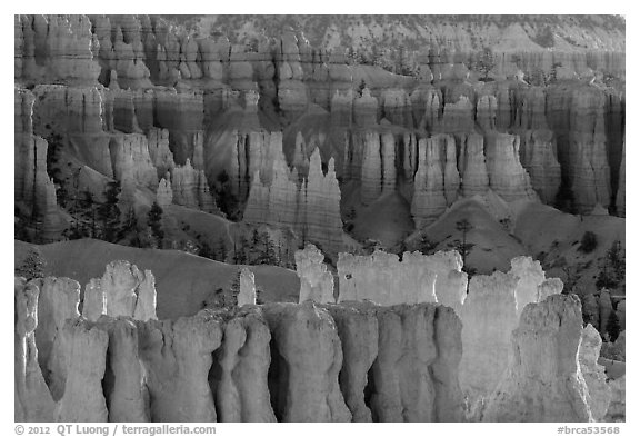Rows of hoodoos. Bryce Canyon National Park, Utah, USA.
