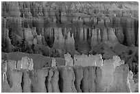 Rows of hoodoos. Bryce Canyon National Park ( black and white)