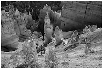 Aspen and Thors Hammer in fall. Bryce Canyon National Park, Utah, USA. (black and white)