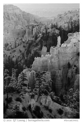 Trees, ridges, and hoodoos, Fairyland Point. Bryce Canyon National Park (black and white)