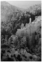 Trees, ridges, and hoodoos, Fairyland Point. Bryce Canyon National Park ( black and white)