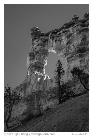 Tower Bridge. Bryce Canyon National Park (black and white)