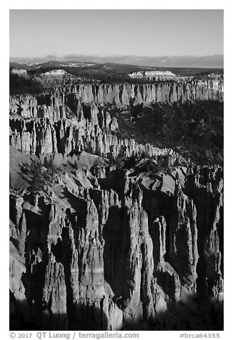 Pink cliffs from Rainbow Point, early morning. Bryce Canyon National Park (black and white)