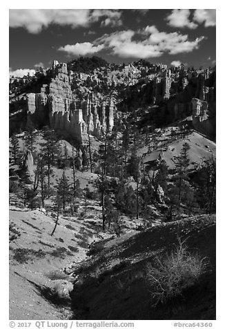 Hill with hoodoos, Fairyland Loop. Bryce Canyon National Park (black and white)