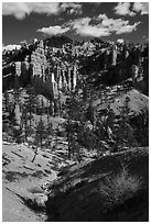 Hill with hoodoos, Fairyland Loop. Bryce Canyon National Park ( black and white)