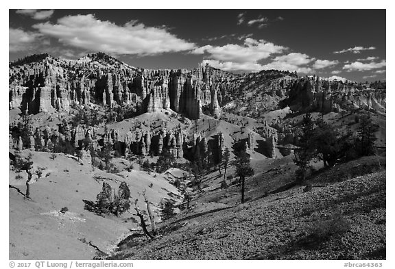 Mesa with hoodoos seen from below. Bryce Canyon National Park (black and white)