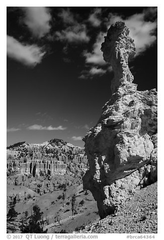 Mushroom-shaped freestanding hoodoo. Bryce Canyon National Park (black and white)