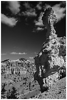 Mushroom-shaped freestanding hoodoo. Bryce Canyon National Park ( black and white)