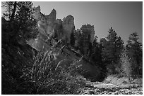 Dry creek with autumn foliage and hoodoos. Bryce Canyon National Park ( black and white)
