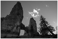 Pine trees, Tower Bridge, and cloud. Bryce Canyon National Park ( black and white)