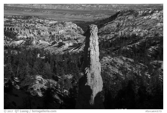 Monolithic hoodoo and amphitheater. Bryce Canyon National Park (black and white)